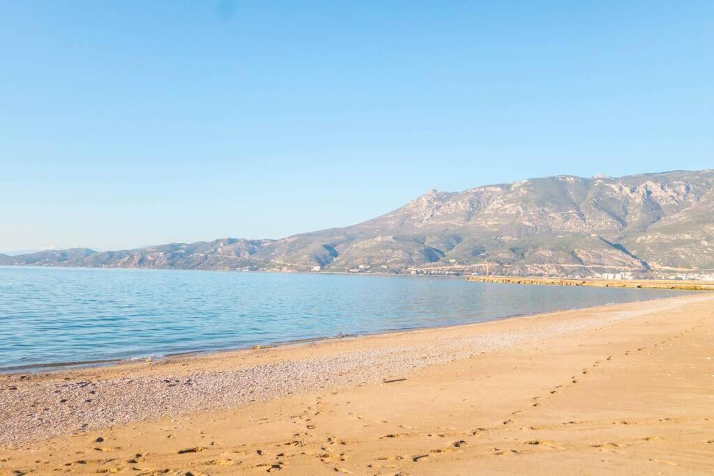 PosidhoníaHospitality In Mythical And Historical Peloponnese1アパートメント エクステリア 写真